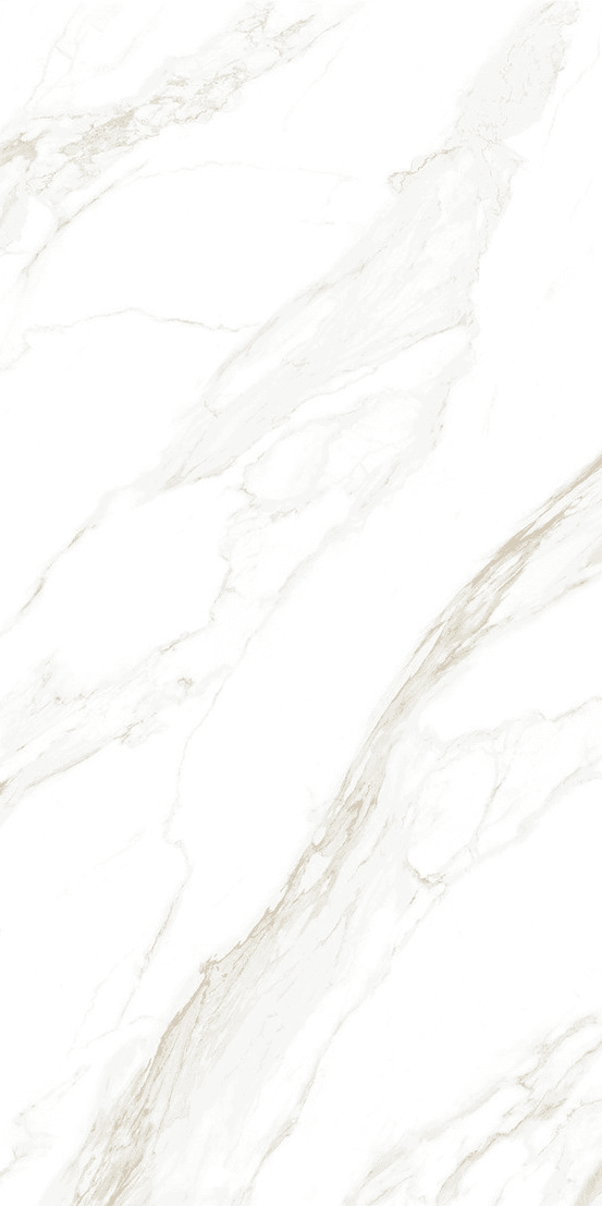 Davos Bianco slab 60 X 120 CM 2