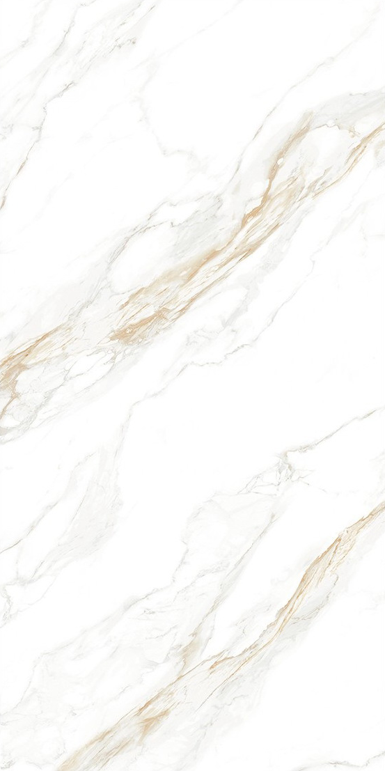 Davos Bianco slab 60 X 120 CM 5