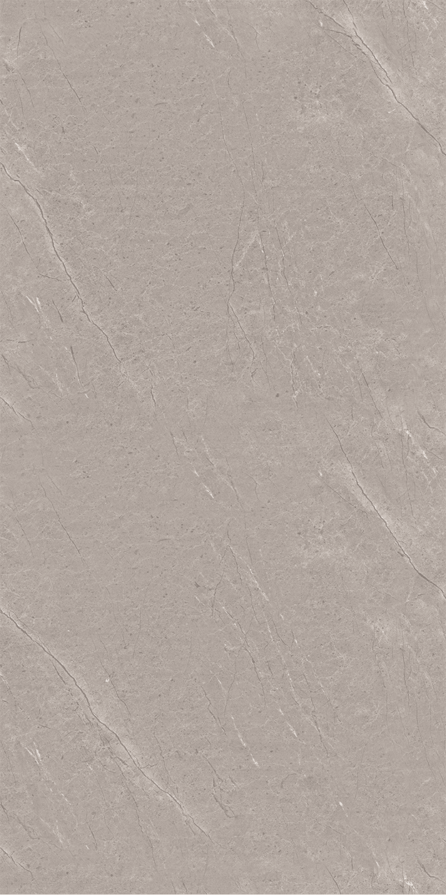 Arosa Grey slab 60 X 120 CM 2