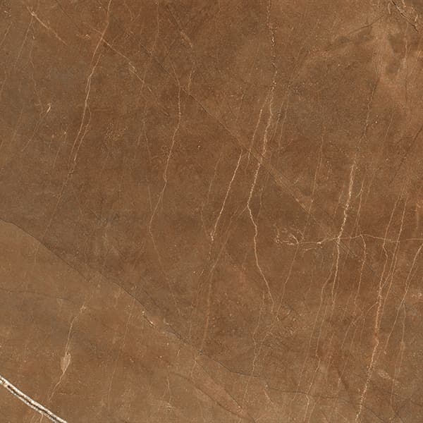 Orobico Brown slab 60 X 60 CM 6