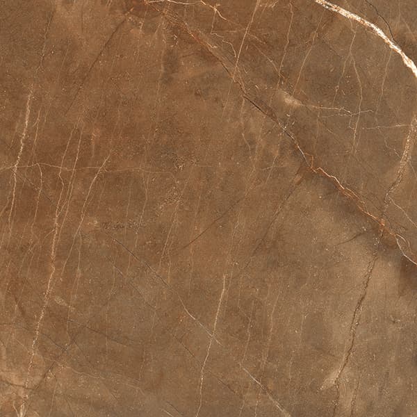 Orobico Brown slab 60 X 60 CM 7