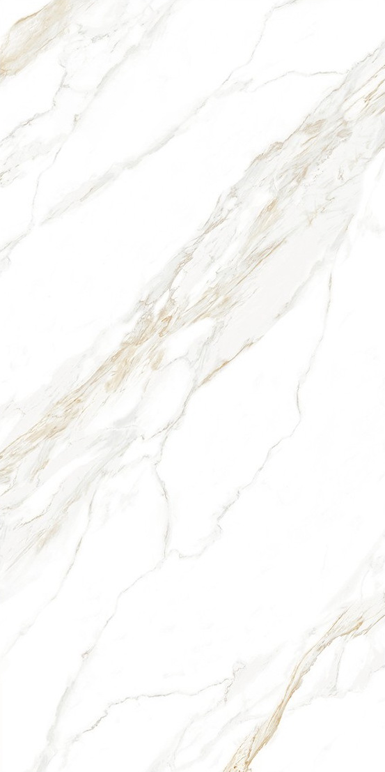 Davos Bianco slab 60 X 120 CM 6