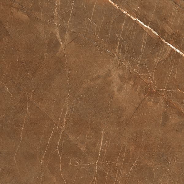 Orobico Brown slab 60 X 60 CM 3