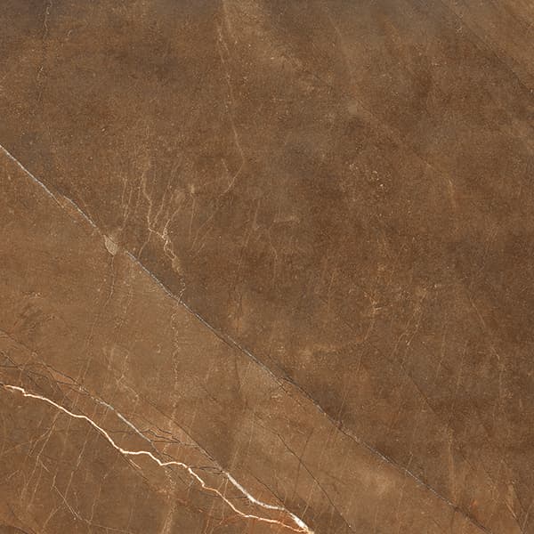 Orobico Brown slab 60 X 60 CM 1