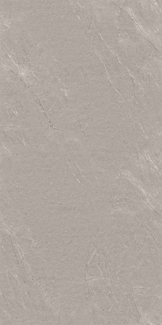 Arosa Grey slab 60 X 120 CM 1