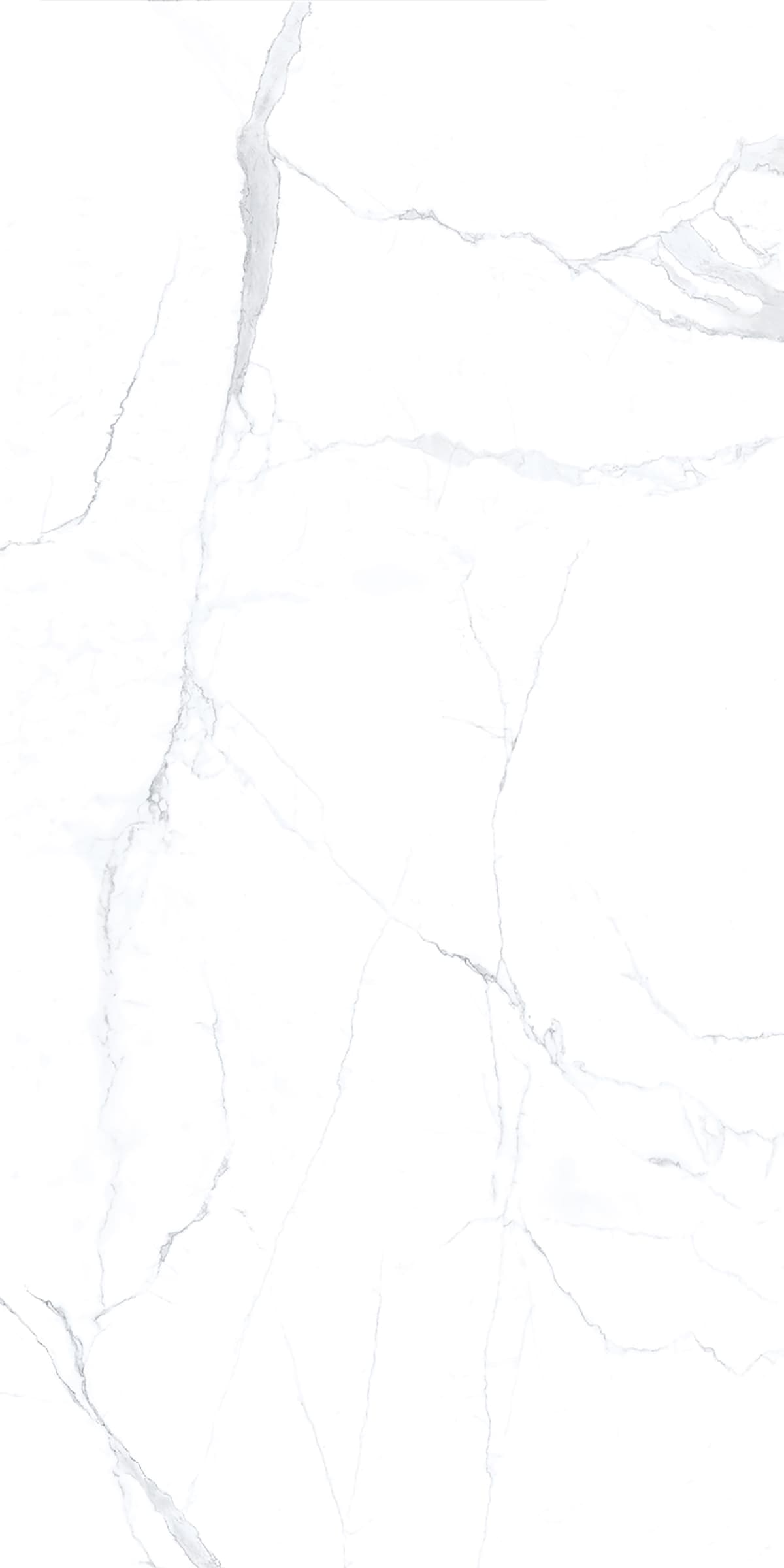 Alcantara White slab 240 X 120 CM 5