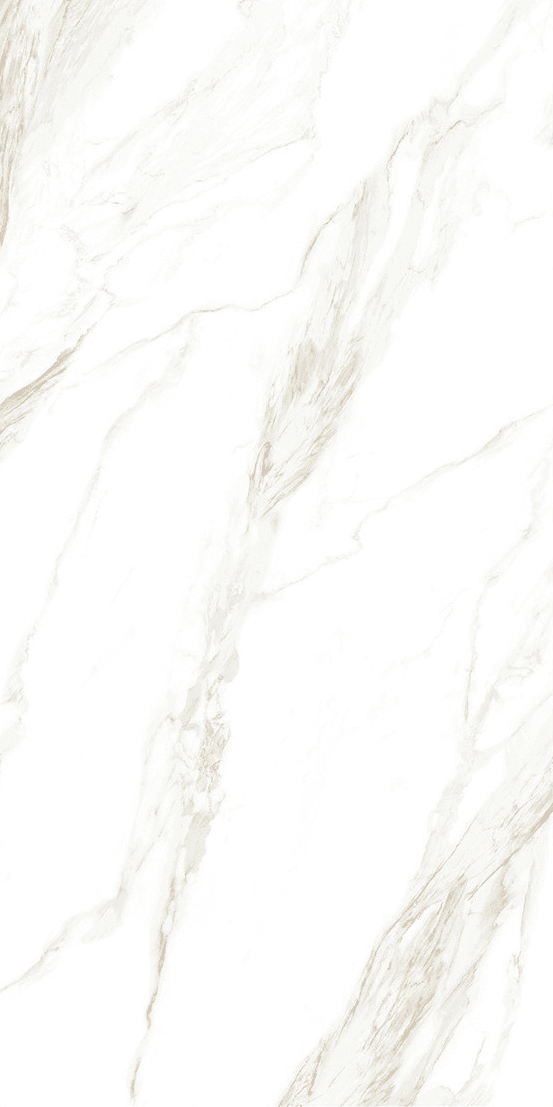 Davos Bianco slab 120 X 60 CM 2