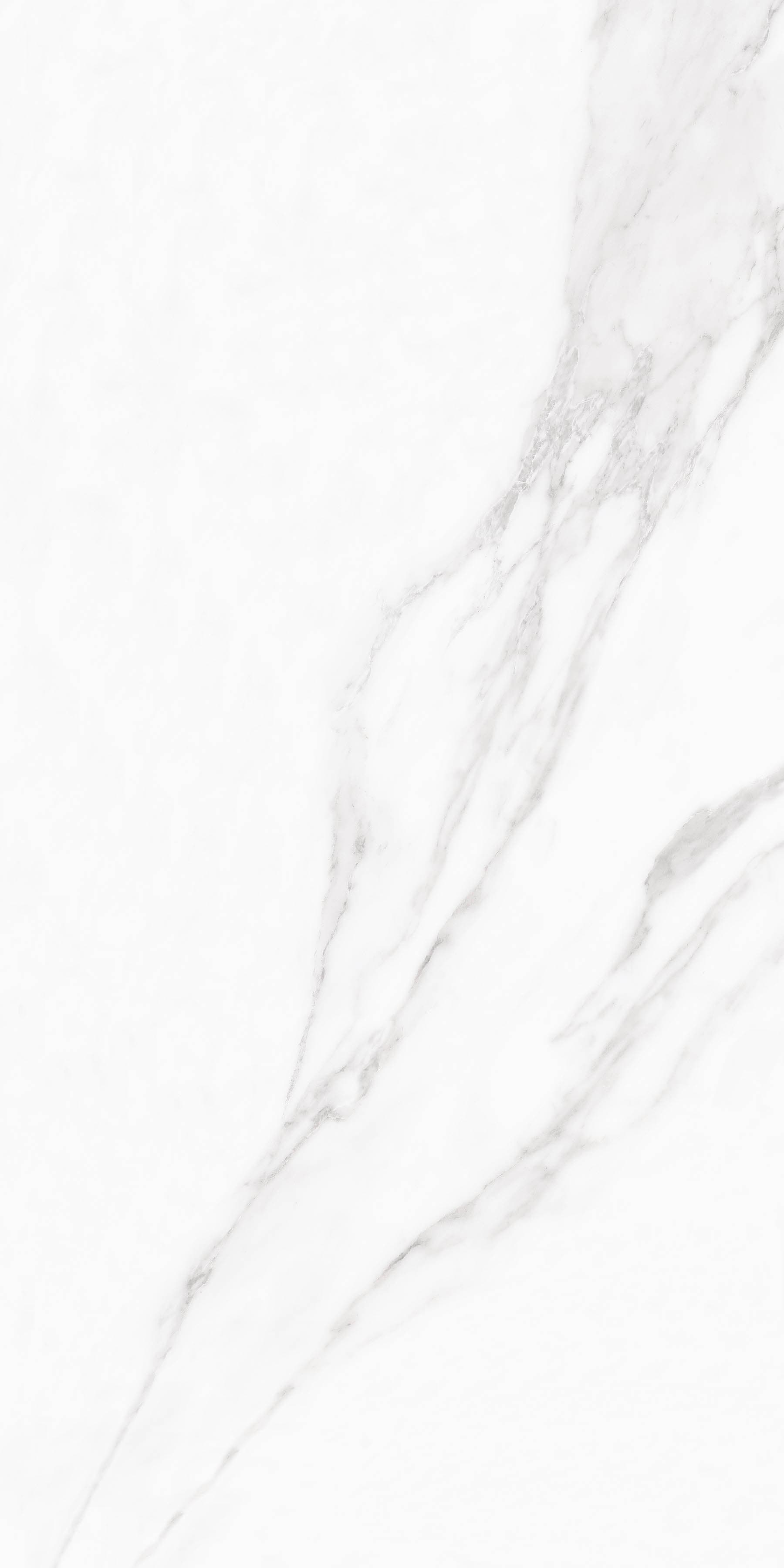 Arctic Statuario slab 180 X 90 CM 4