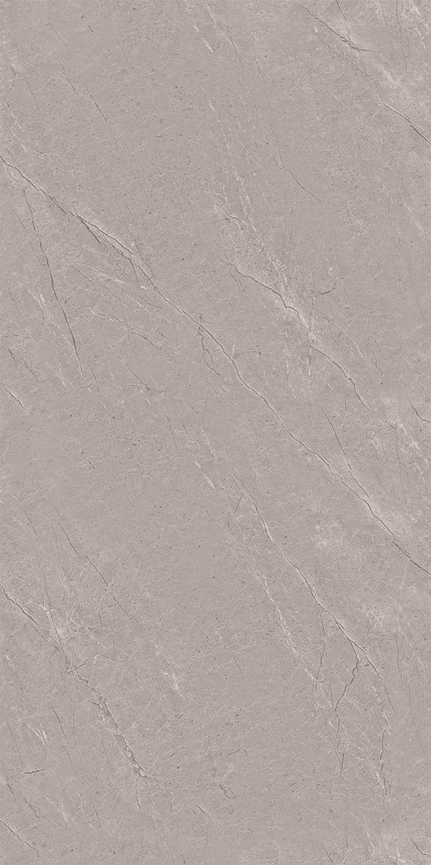 Arosa Grey slab 120 X 60 CM 3