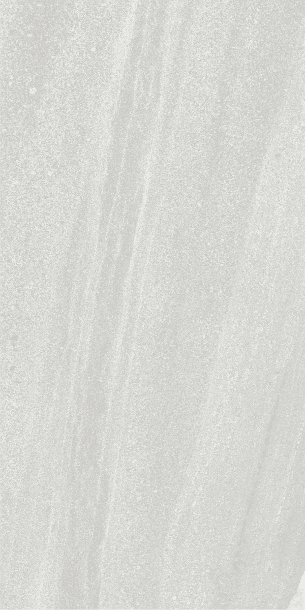 Veneto Cenere slab 120 X 60 CM 3