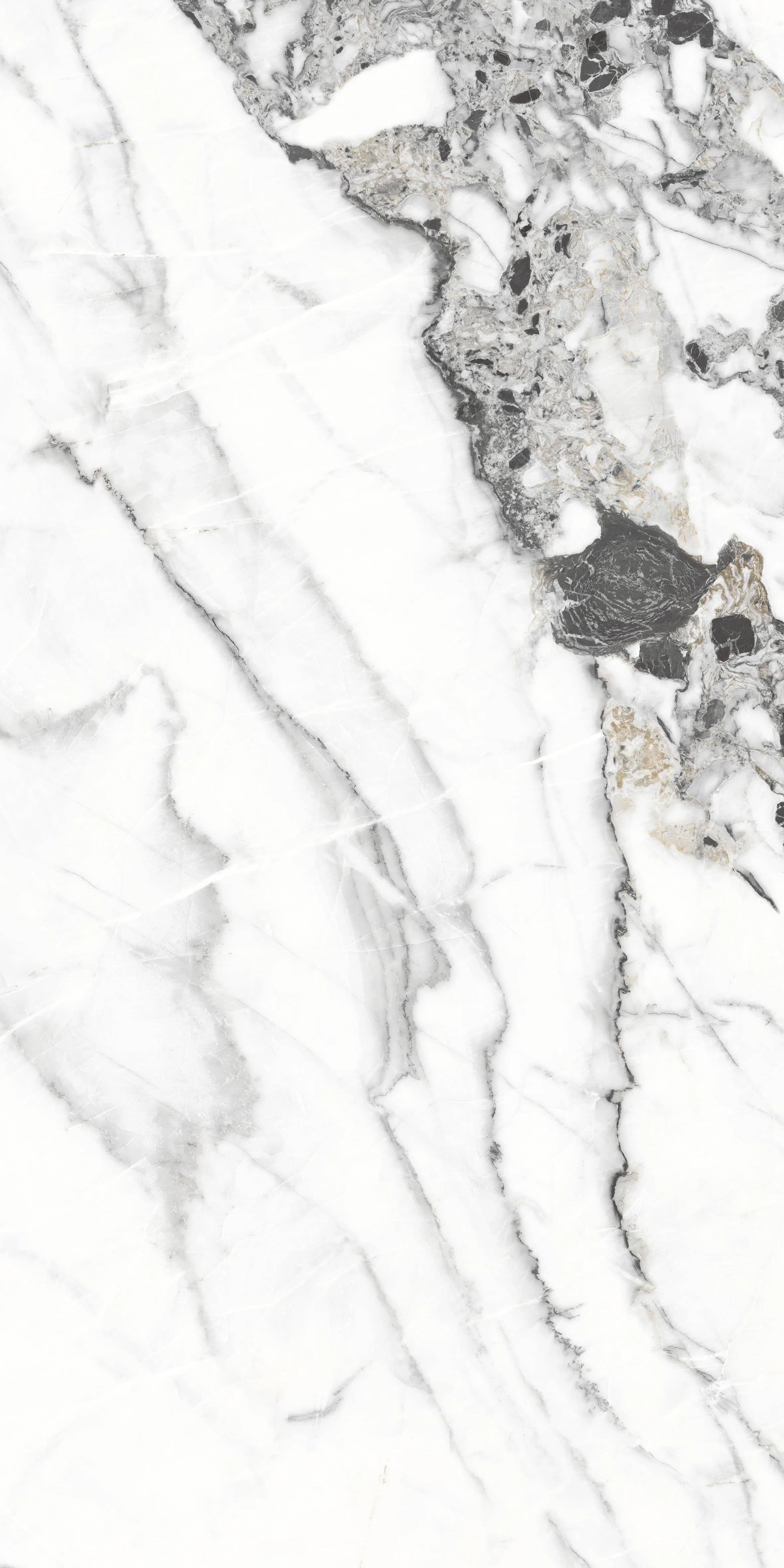 Tiziano Bianco slab 120 X 60 CM 5