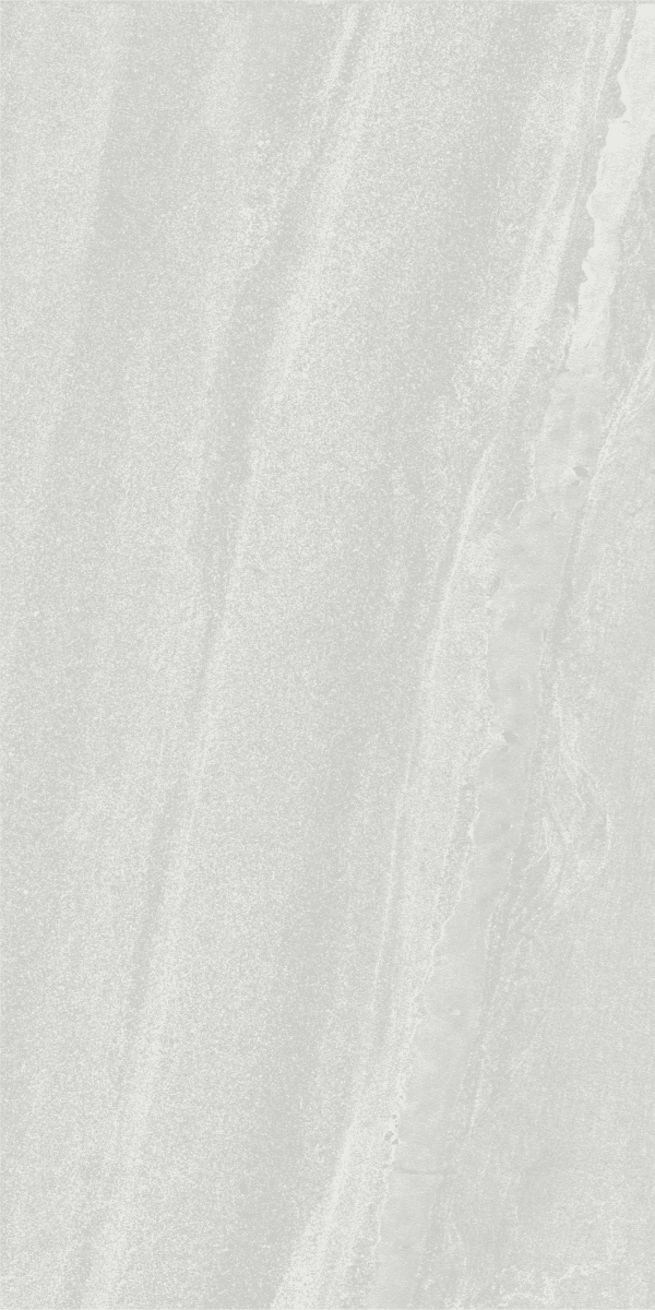 Veneto Cenere slab 120 X 60 CM 1