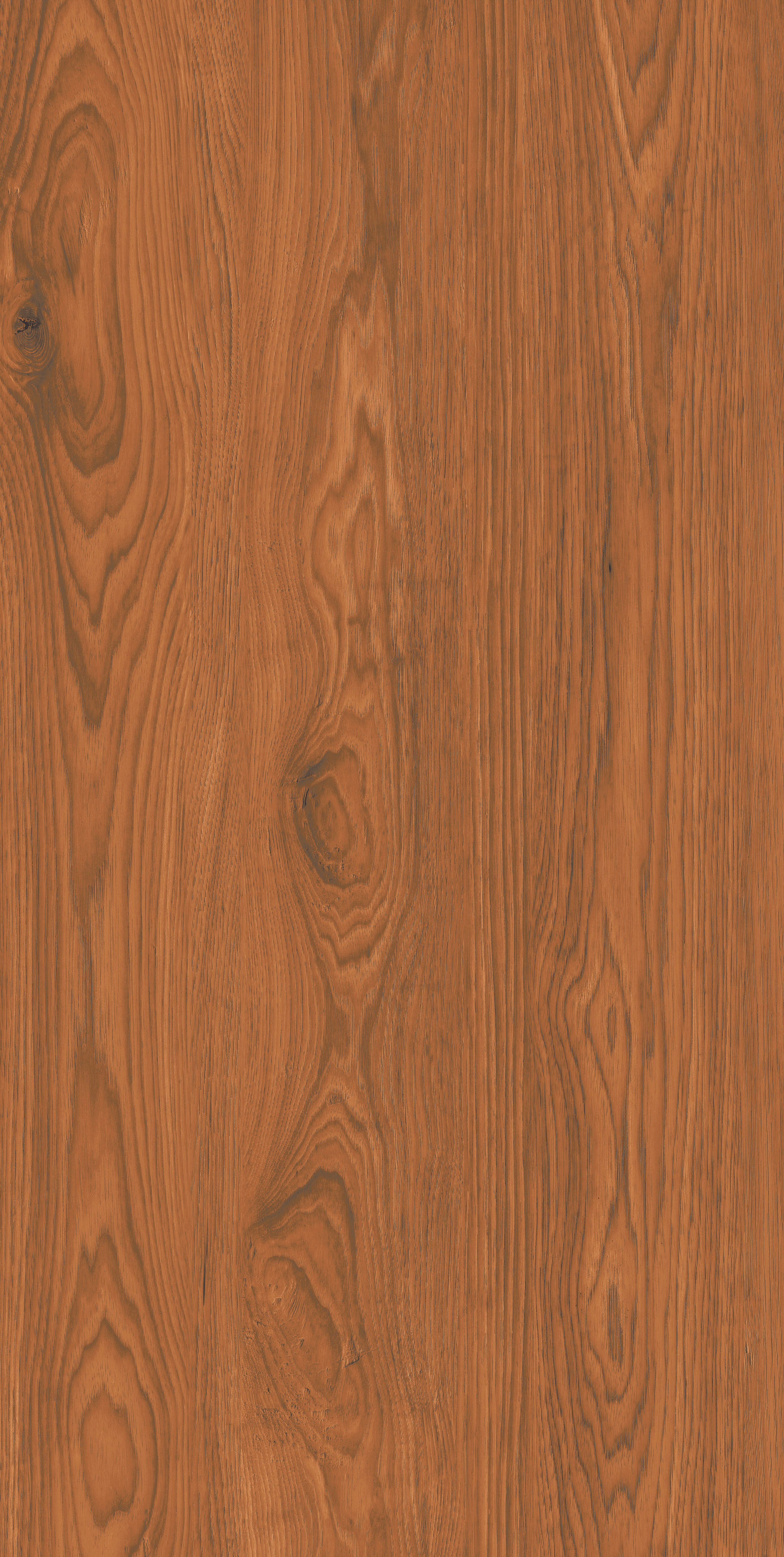 Segura Wood slab 120 X 60 CM 3