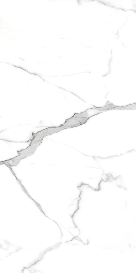 Savio Carrara slab 240 X 120 CM | 180 X 90 CM 4