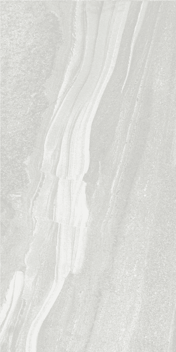 Veneto Cenere slab 120 X 60 CM 6
