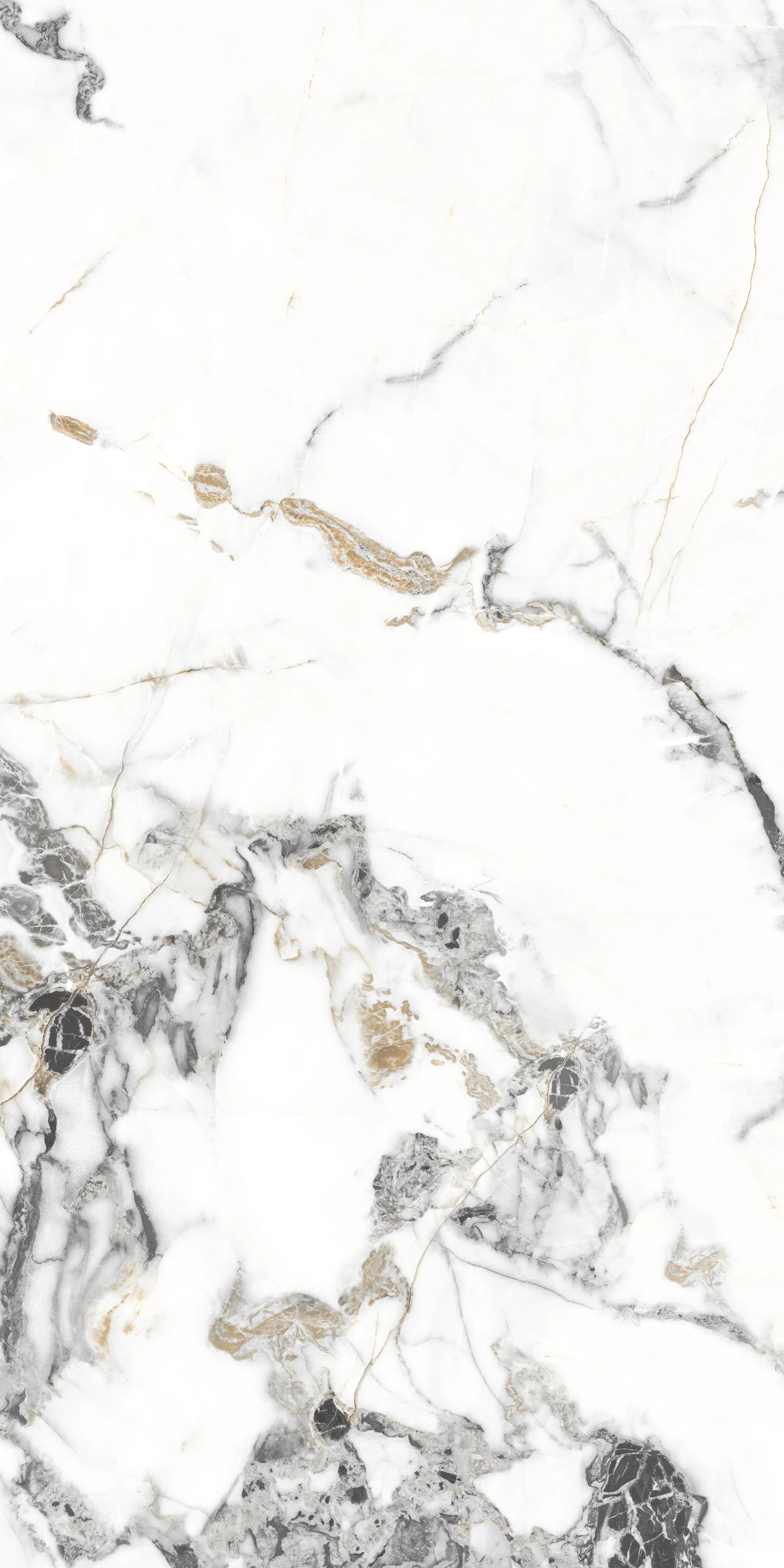Tiziano Bianco slab 120 X 60 CM 2