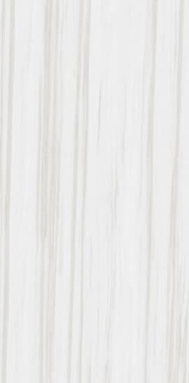 Bianco Andes slab 120 X 60 CM 4