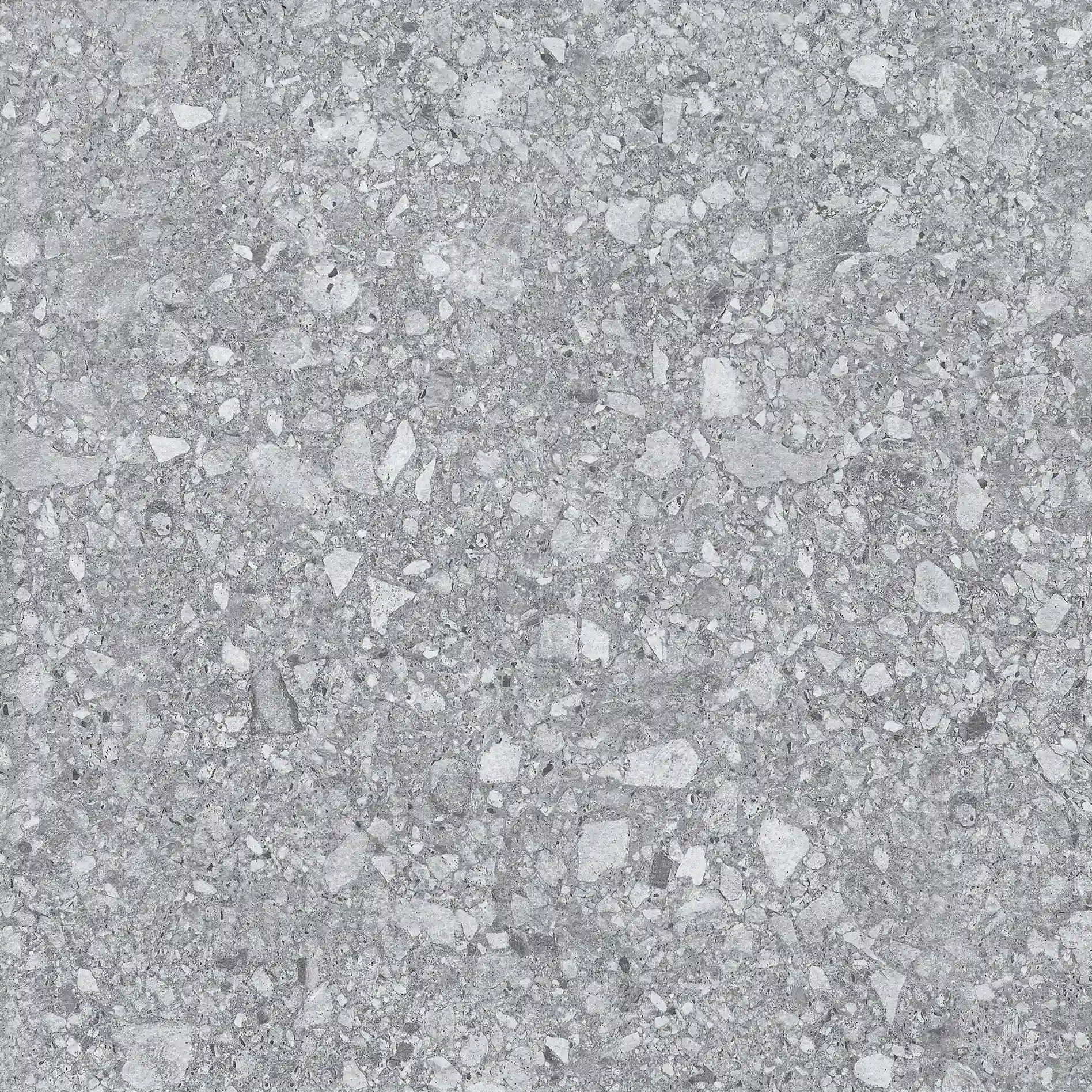 Alila Stone Light Grey slab 60 X 60 CM 1