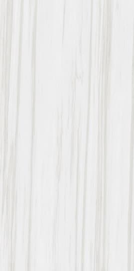 Bianco Andes slab 120 X 60 CM 3