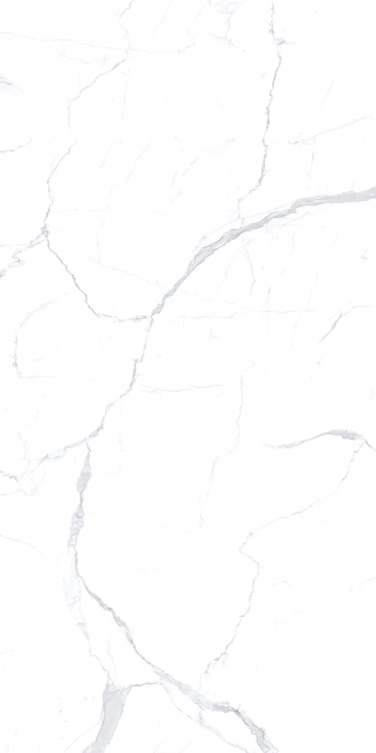 Alcantara White slab 240 X 120 CM 2