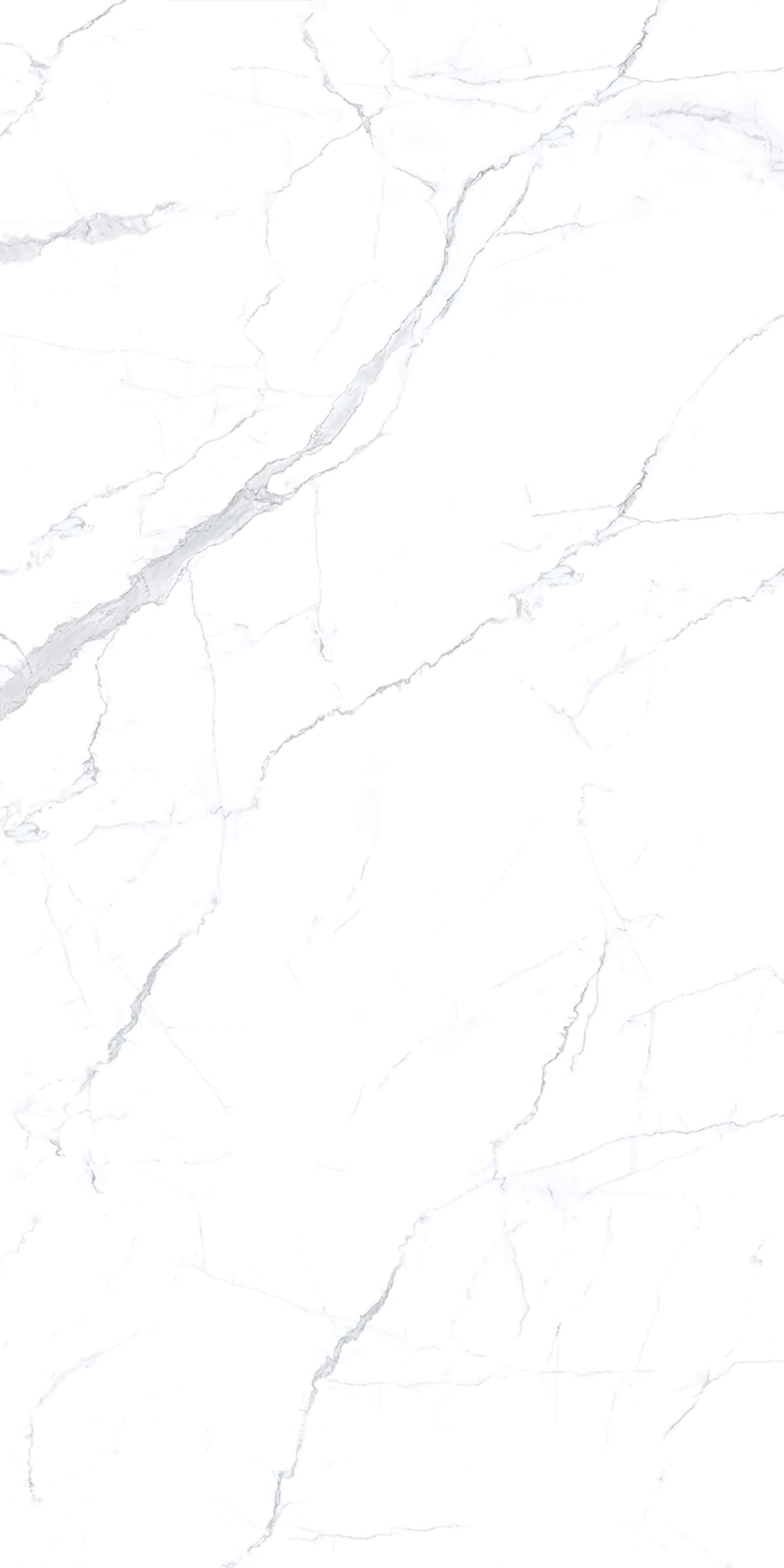 Alcantara White slab 240 X 120 CM 1