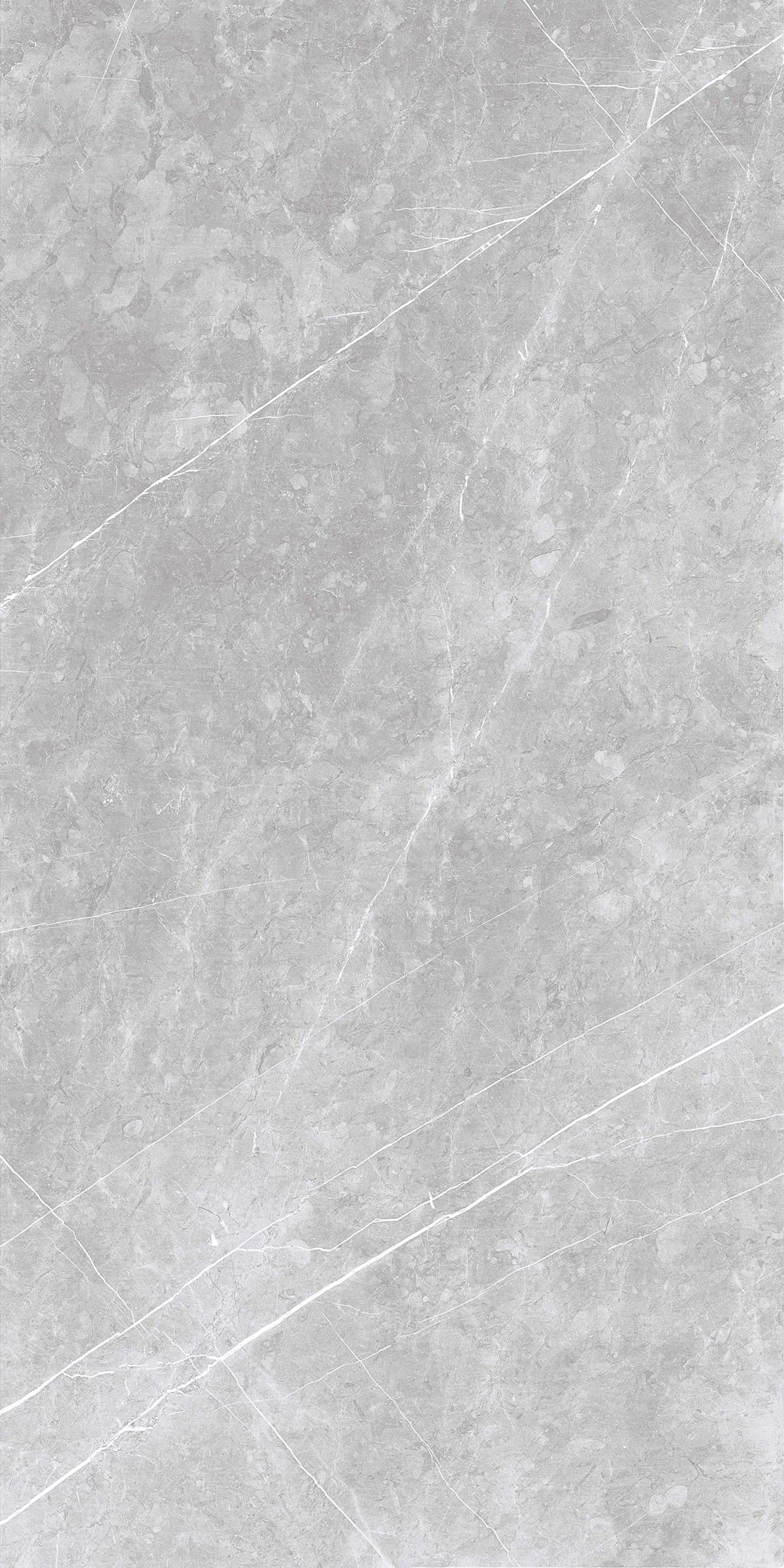 Amaro Grey slab 240 X 120 CM 2