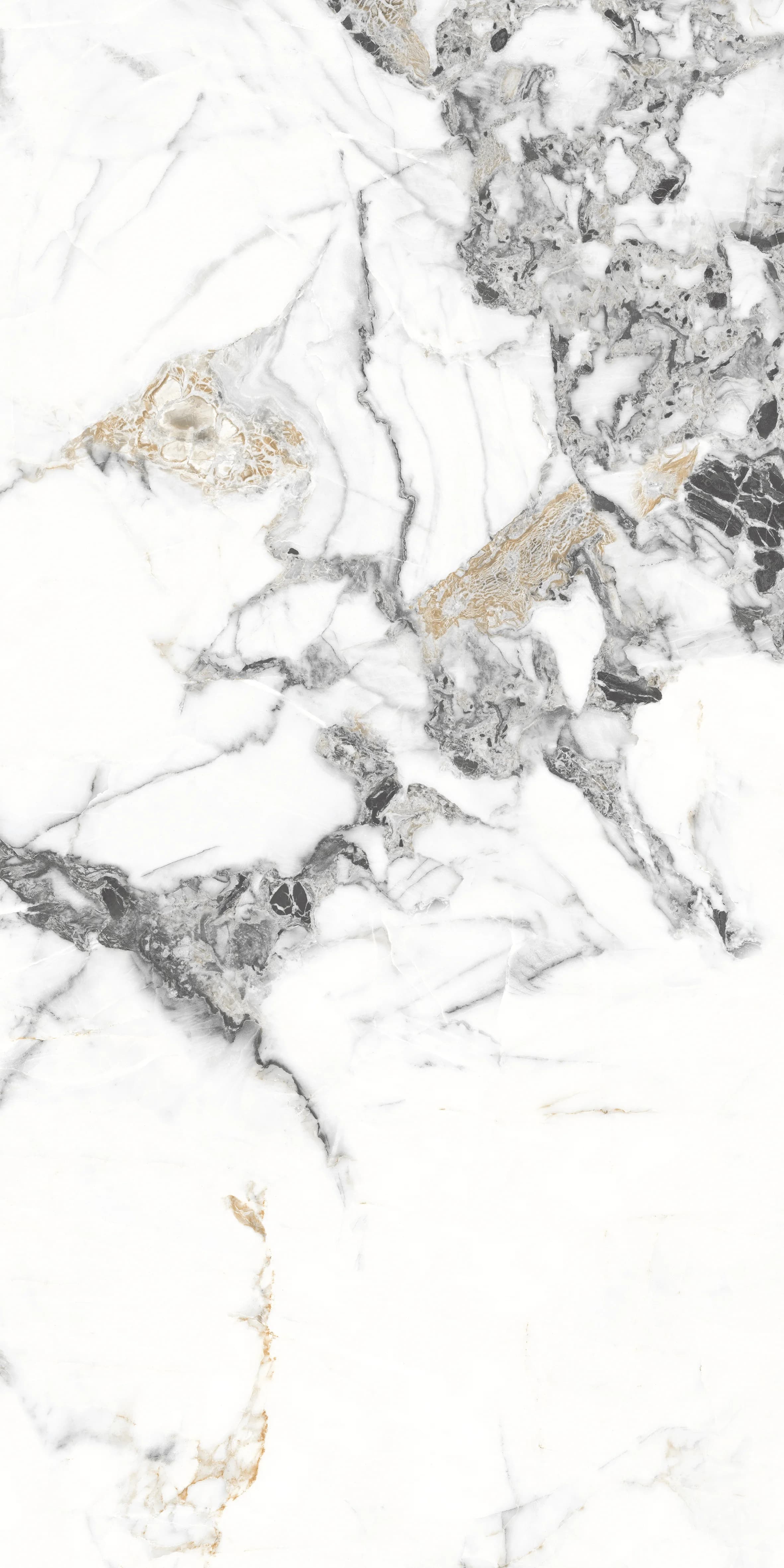 Tiziano Bianco slab 120 X 60 CM 3