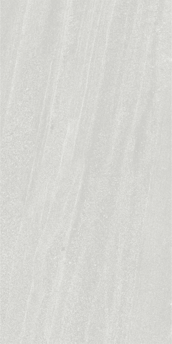 Veneto Cenere slab 120 X 60 CM 4