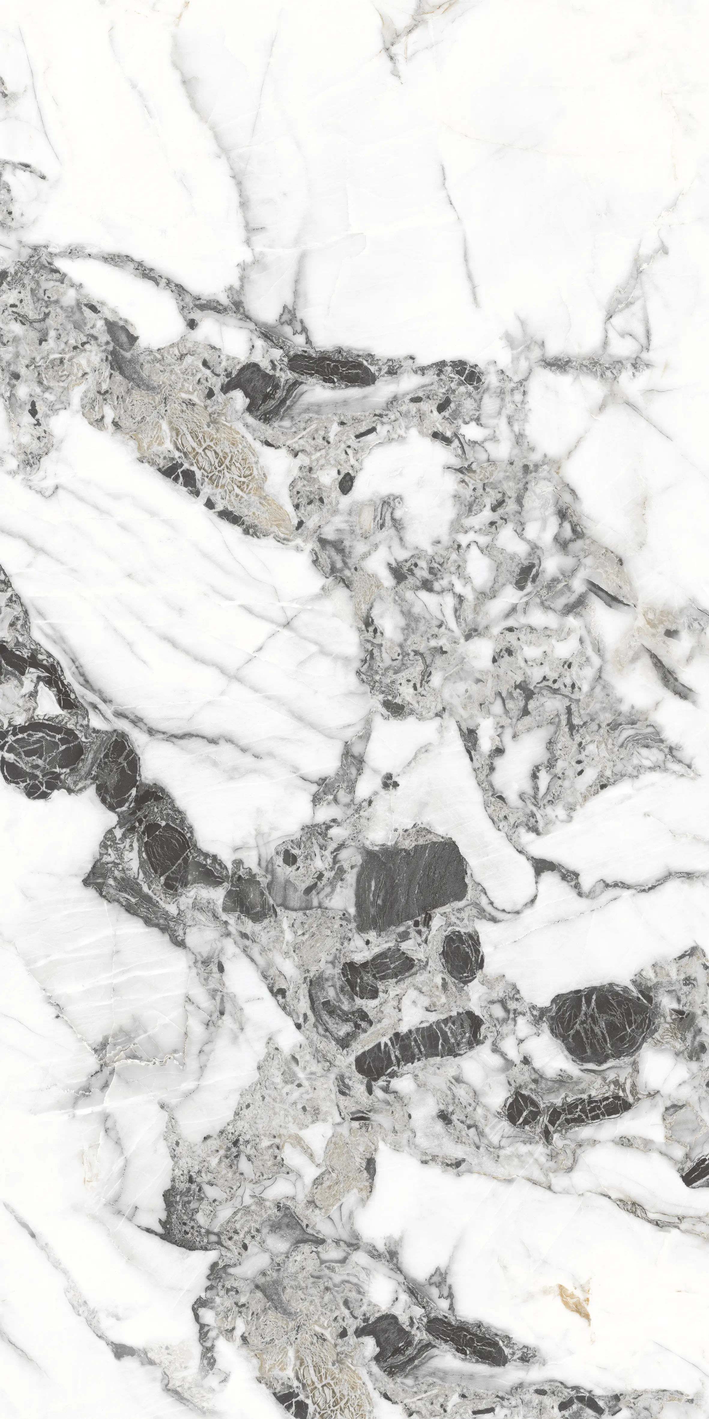 Tiziano Bianco slab 120 X 60 CM 6