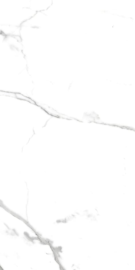 Savio Carrara slab 240 X 120 CM | 180 X 90 CM 2