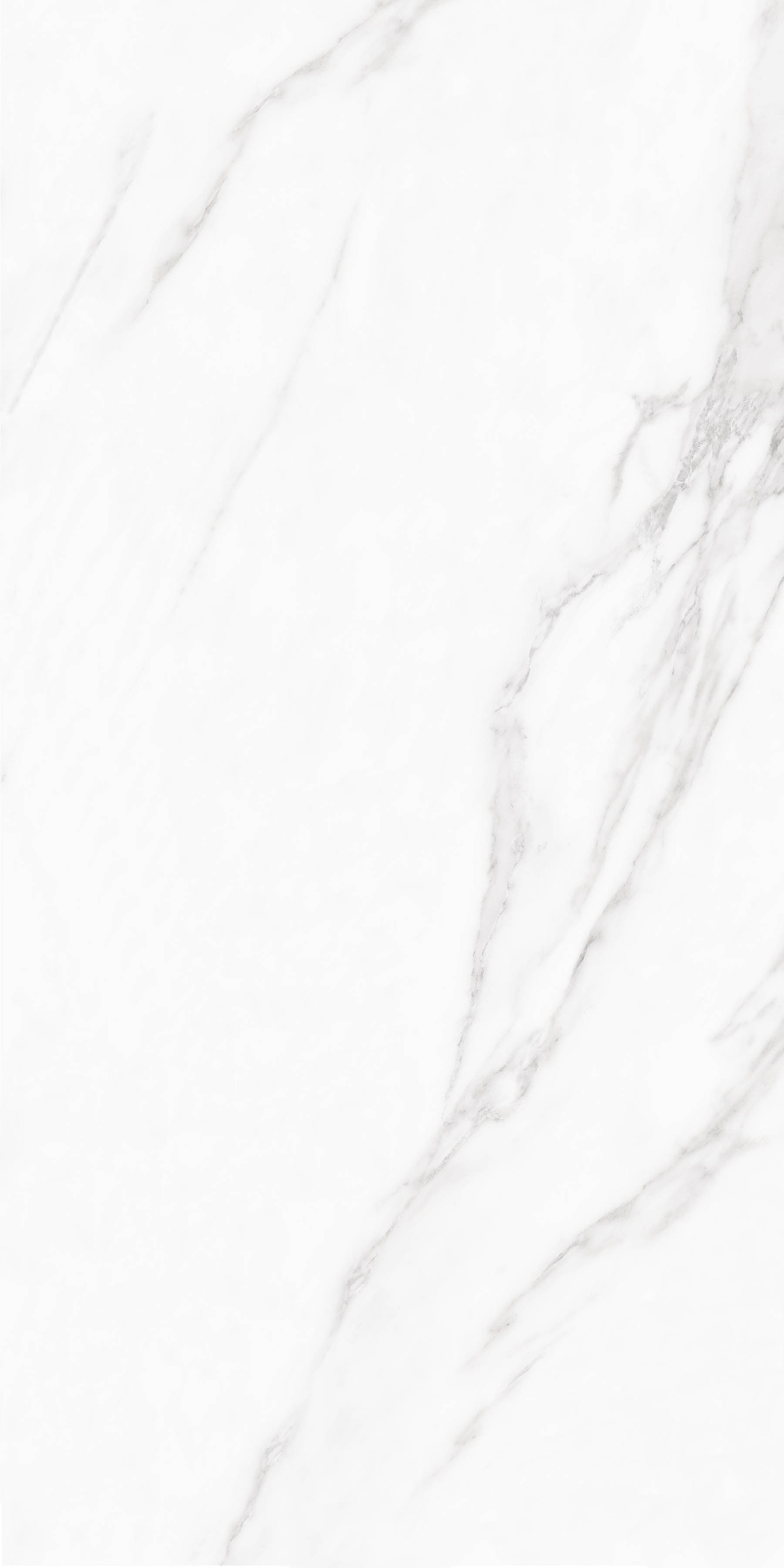 Arctic Statuario slab 180 X 90 CM 5