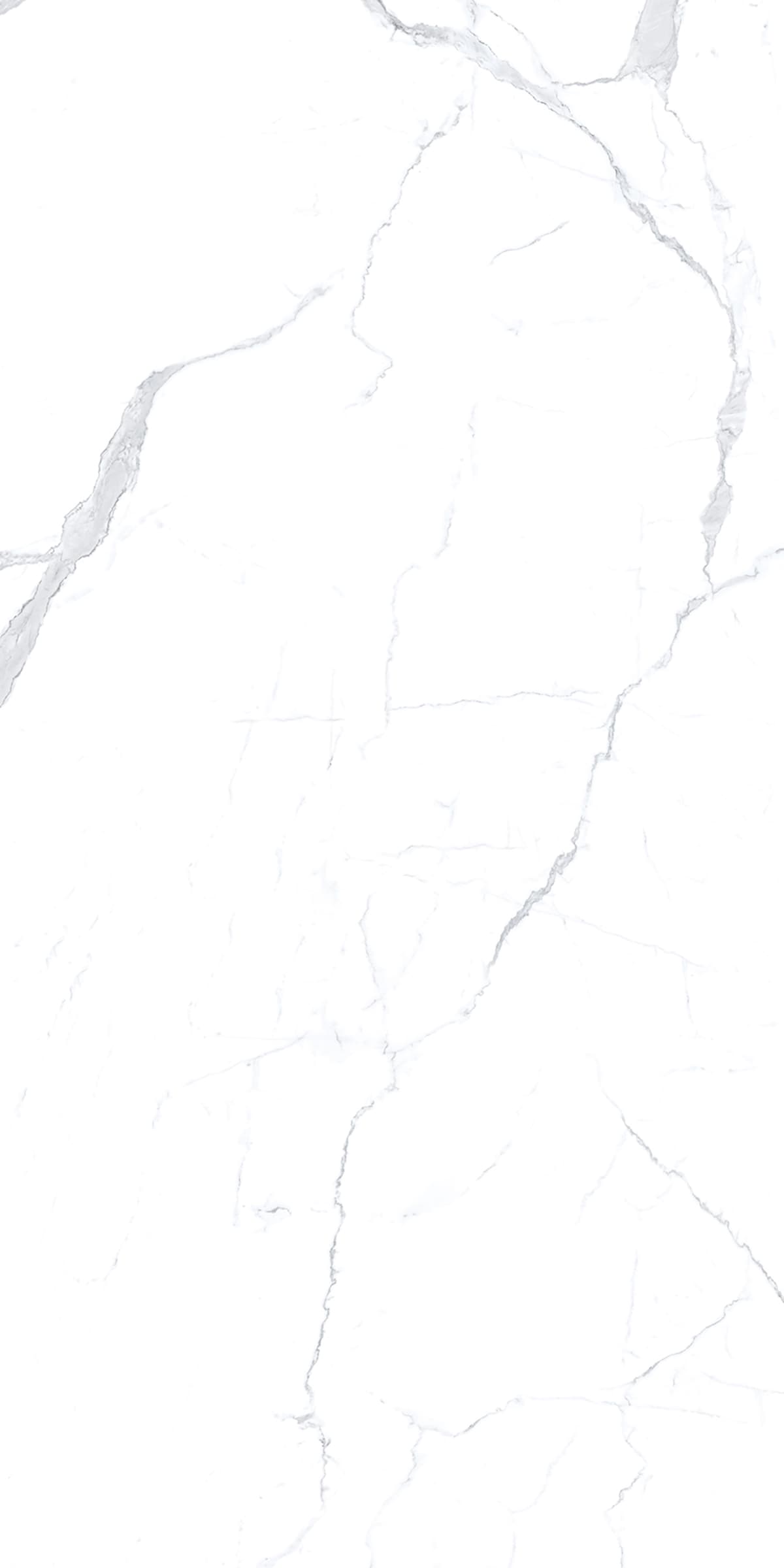 Alcantara White slab 240 X 120 CM 4