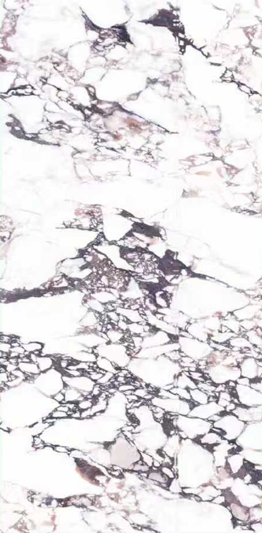 Ragnatela Marmi slab 240 X 120 CM 3