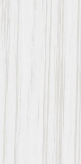 Bianco Andes slab 120 X 60 CM 2
