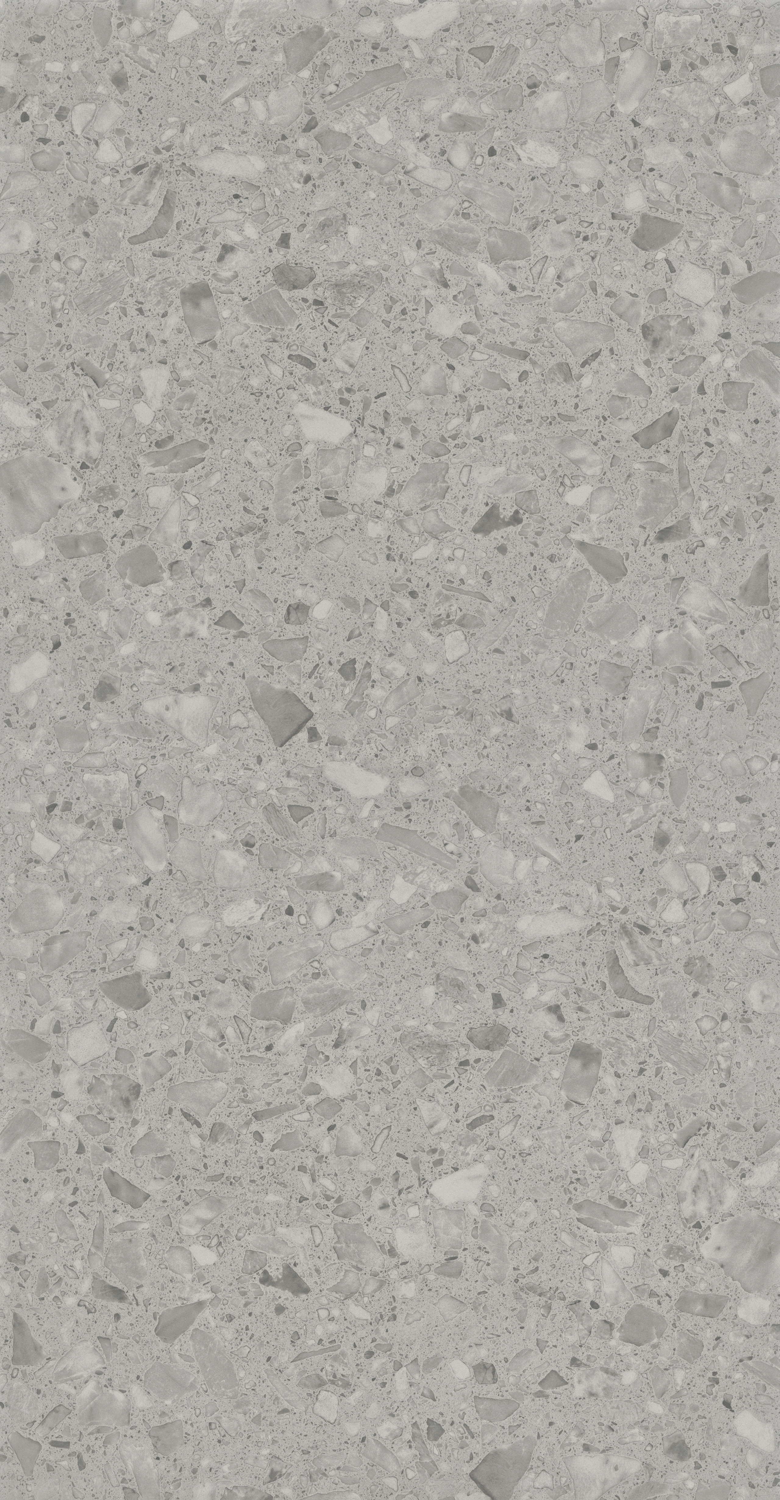 Alberta Grey slab 120 X 60 CM 1